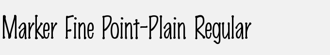 Marker Fine Point-Plain Regular